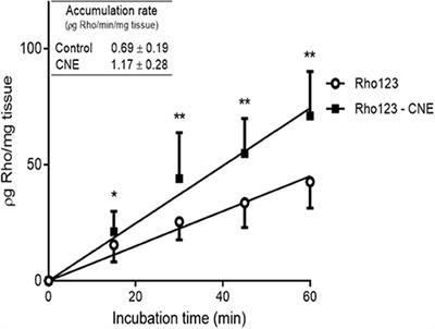 Plant-Derived Compounds as a Tool for the Control of Gastrointestinal Nematodes: Modulation of Abamectin Pharmacological Action by <mark class="highlighted">Carvone</mark>